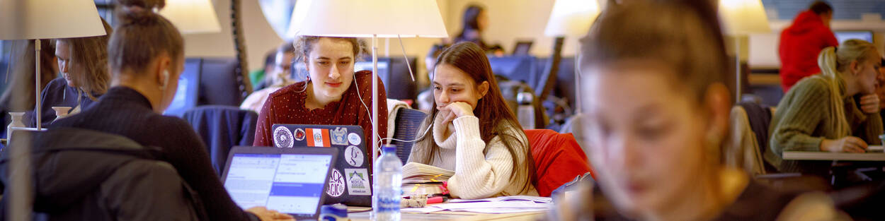 Studieruimte met tafellampen en lange tafels waar diverse scholieren alleen of gezamenlijk aan het werk zijn achter een laptop