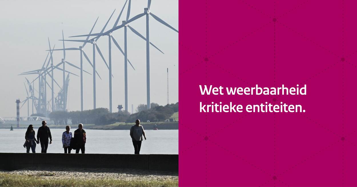 Wet weerbaarheid kritieke entiteiten.