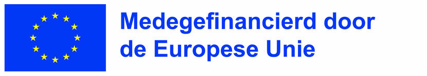 Logo blauw vlak met gouden sterren in een rondje (vlag EU) met daarnaast de tekst Medegefinancierd door de Europese Unie