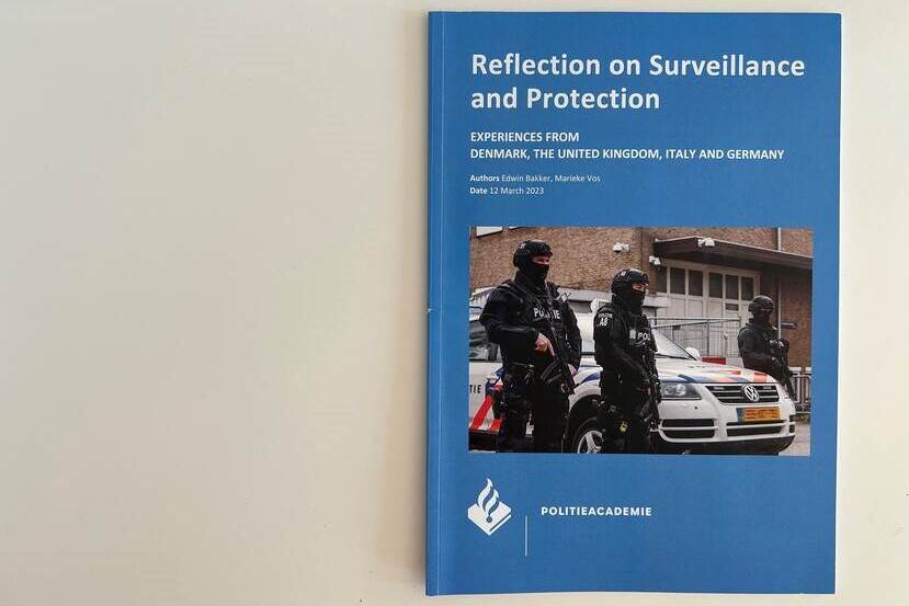 Reflection on Surveillance and Protection - Experiences from Denmark, The United Kingdom, Italy and Germany
